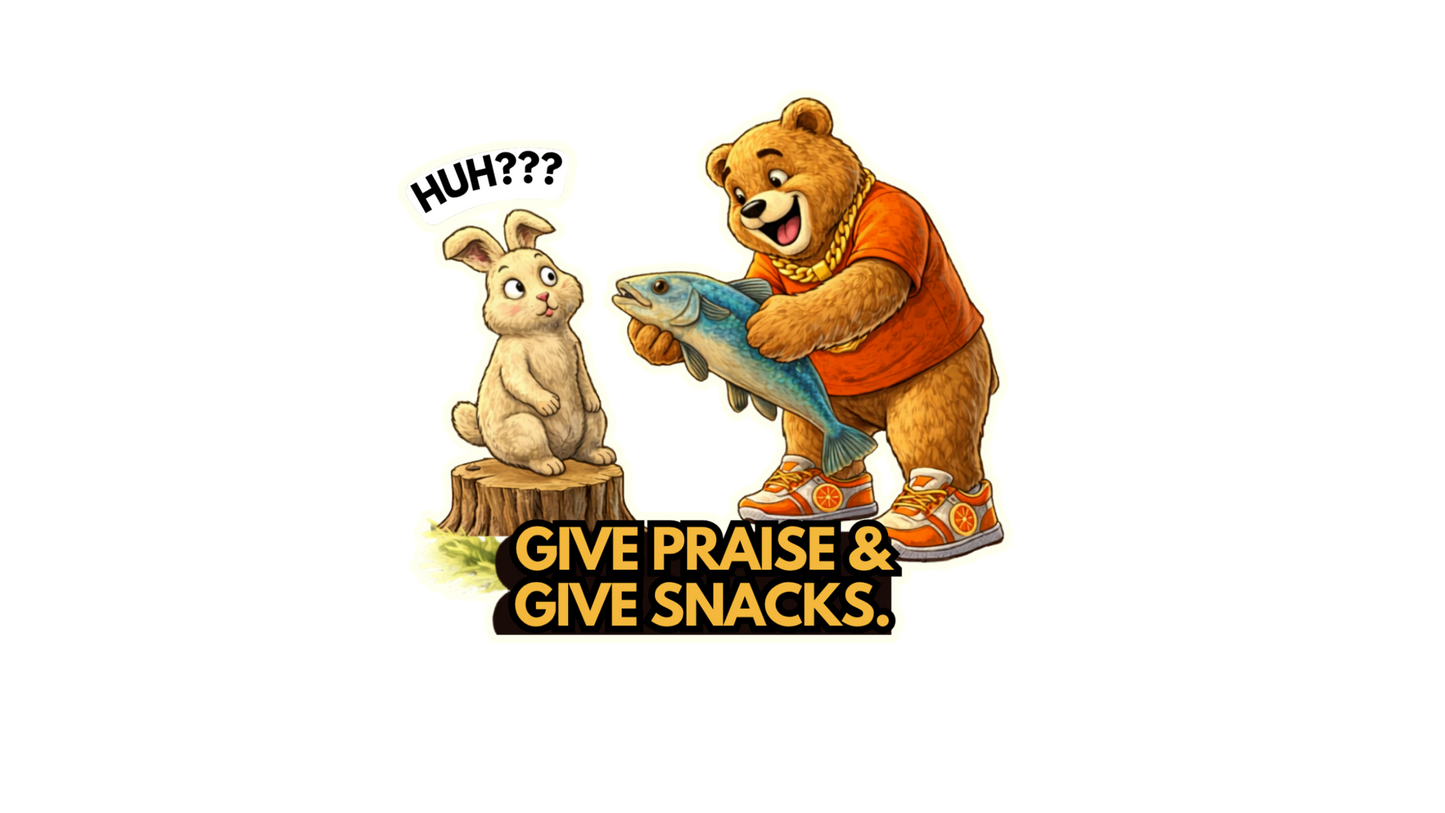 Give Praise & Give Snacks Sticker – Funny Faith Dosey Bear™ Vinyl Sticker, Cute Animal Humor Decal, Christian Funny Gift, Food &amp; Faith Sticker