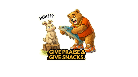 Give Praise & Give Snacks Sticker – Funny Faith Dosey Bear™ Vinyl Sticker, Cute Animal Humor Decal, Christian Funny Gift, Food &amp; Faith Sticker